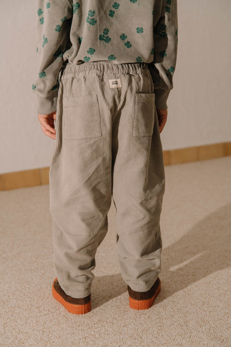 Carrot Corderoy Gray Trousers