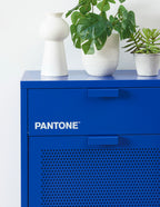 Shoe Cabinet - Metal - Electric Blue