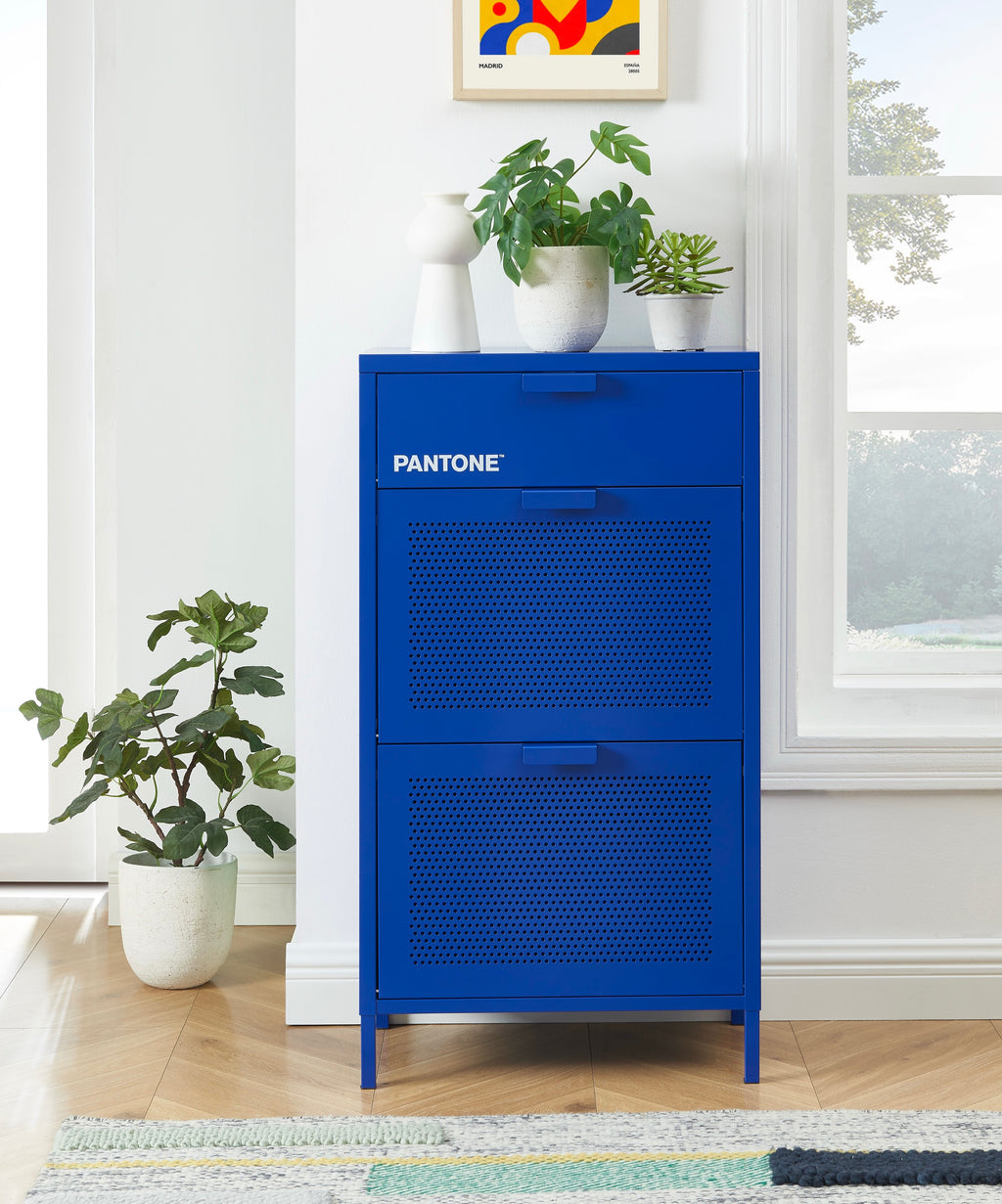Shoe Cabinet - Metal - Electric Blue