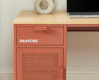 Desk - Metal - Terracotta