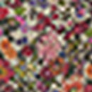 Combinaison Leli - Multicolore