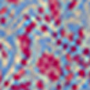 Robe Pimia - Nuage