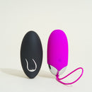 Oeuf A Telecommande Diana