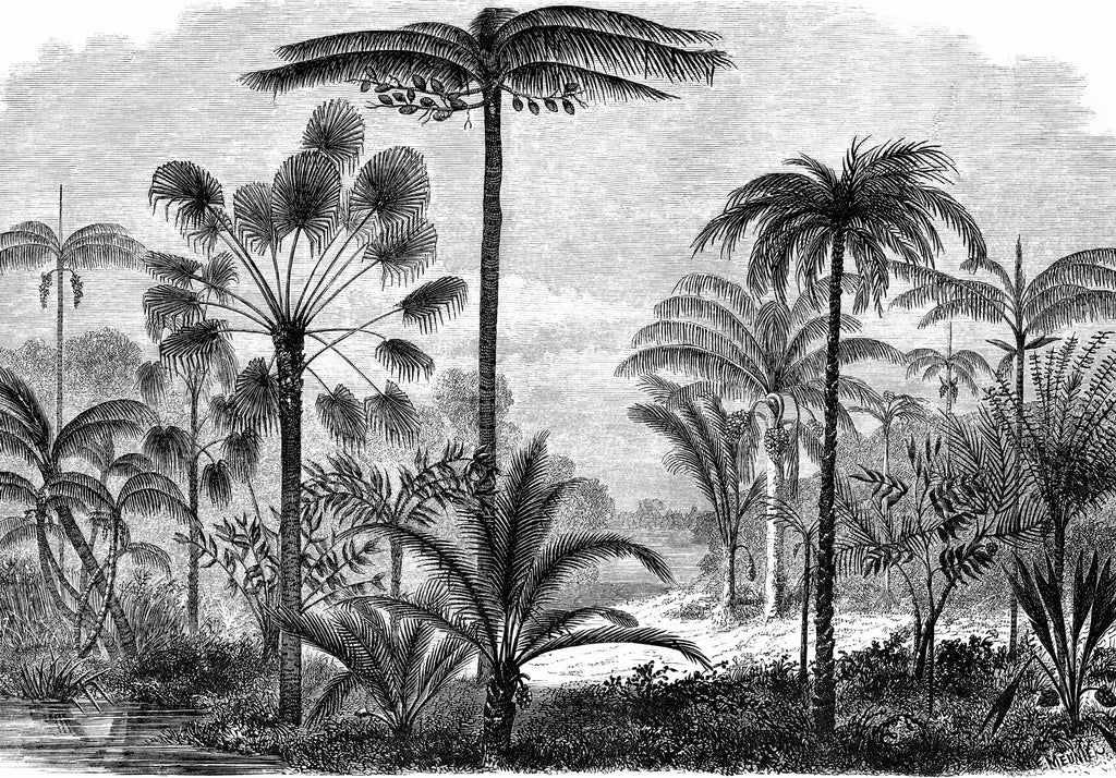 Lé Papiers De Ninon – Papier Peint Panoramique Aladin - Noir, dessin en noir et blanc d'une forêt tropicale avec de grands palmiers