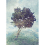 Papier Peint Panoramique Misty Tree - Multicolore