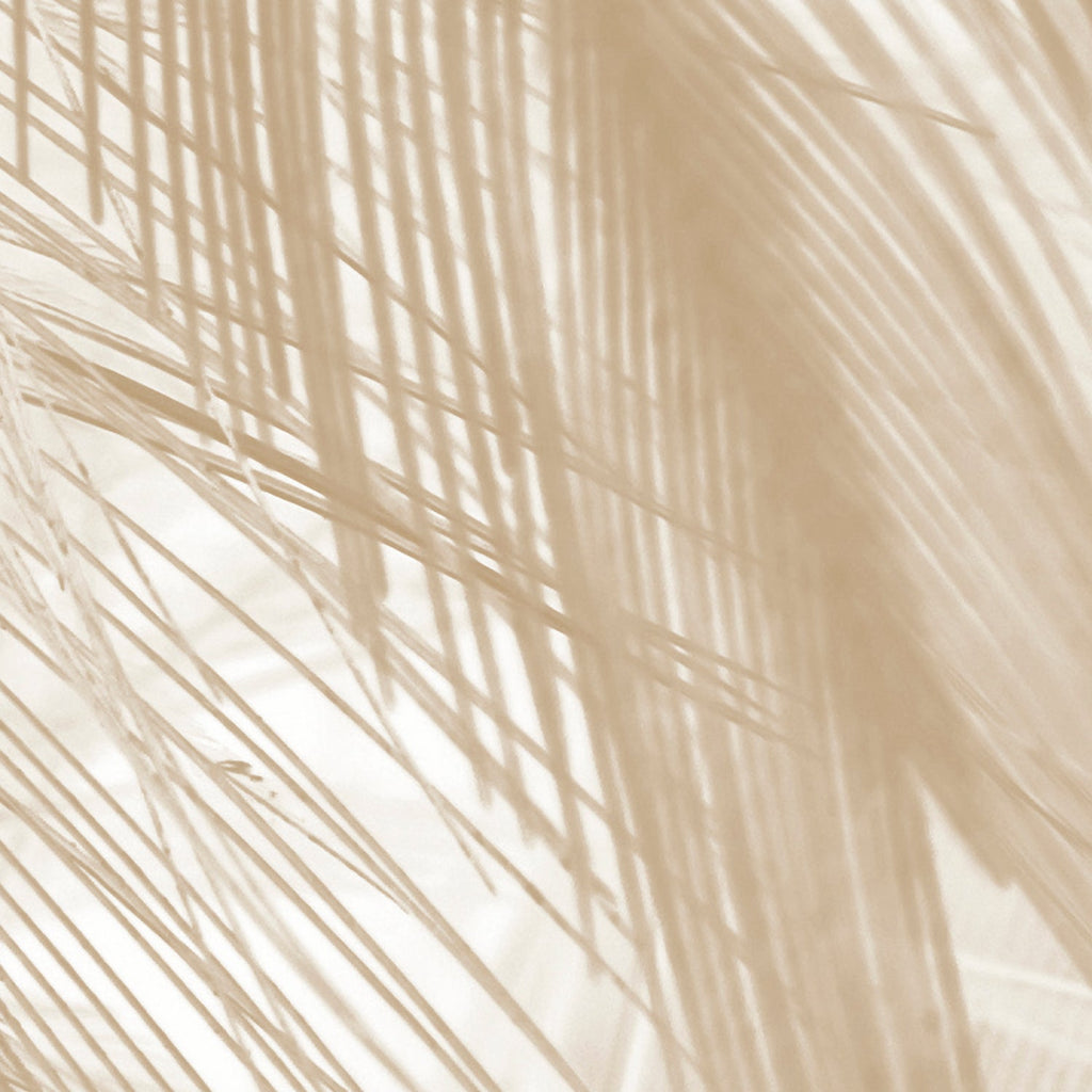 Papel Pintado Panorámico - Soft - Beige