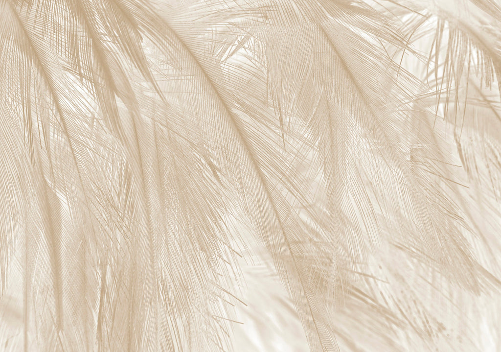 Papel Pintado Panorámico - Soft - Beige