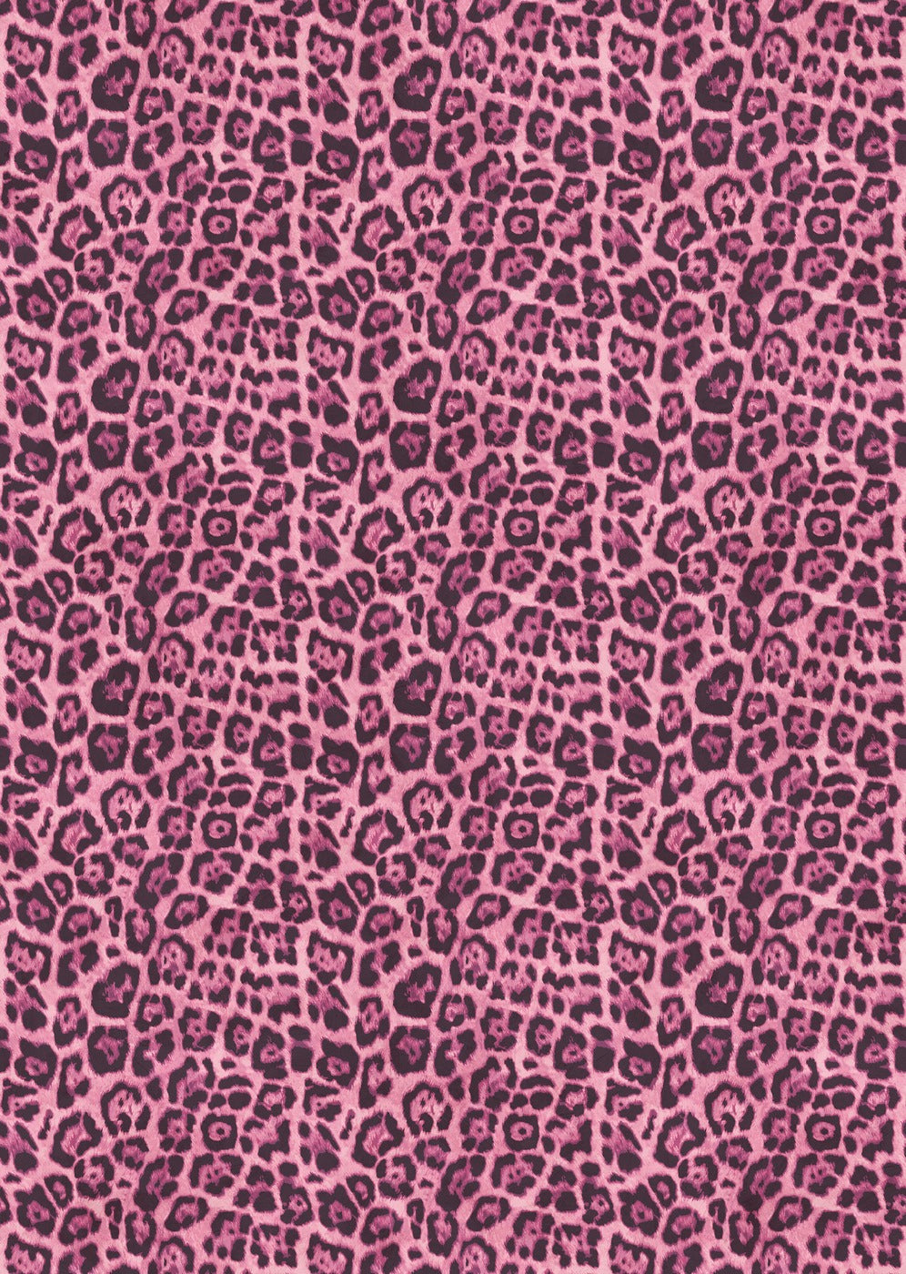Papier Peint Panoramique Léopard - Rose