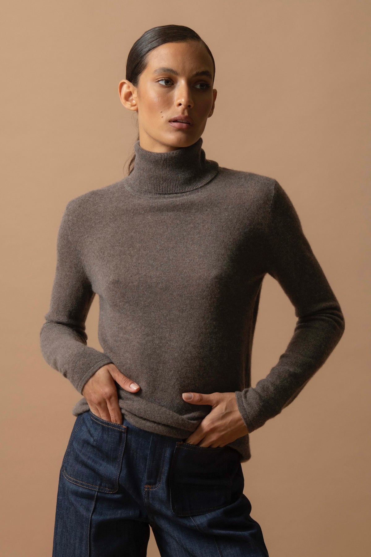 Pull Col Roulé Ashley - Taupe Chiné