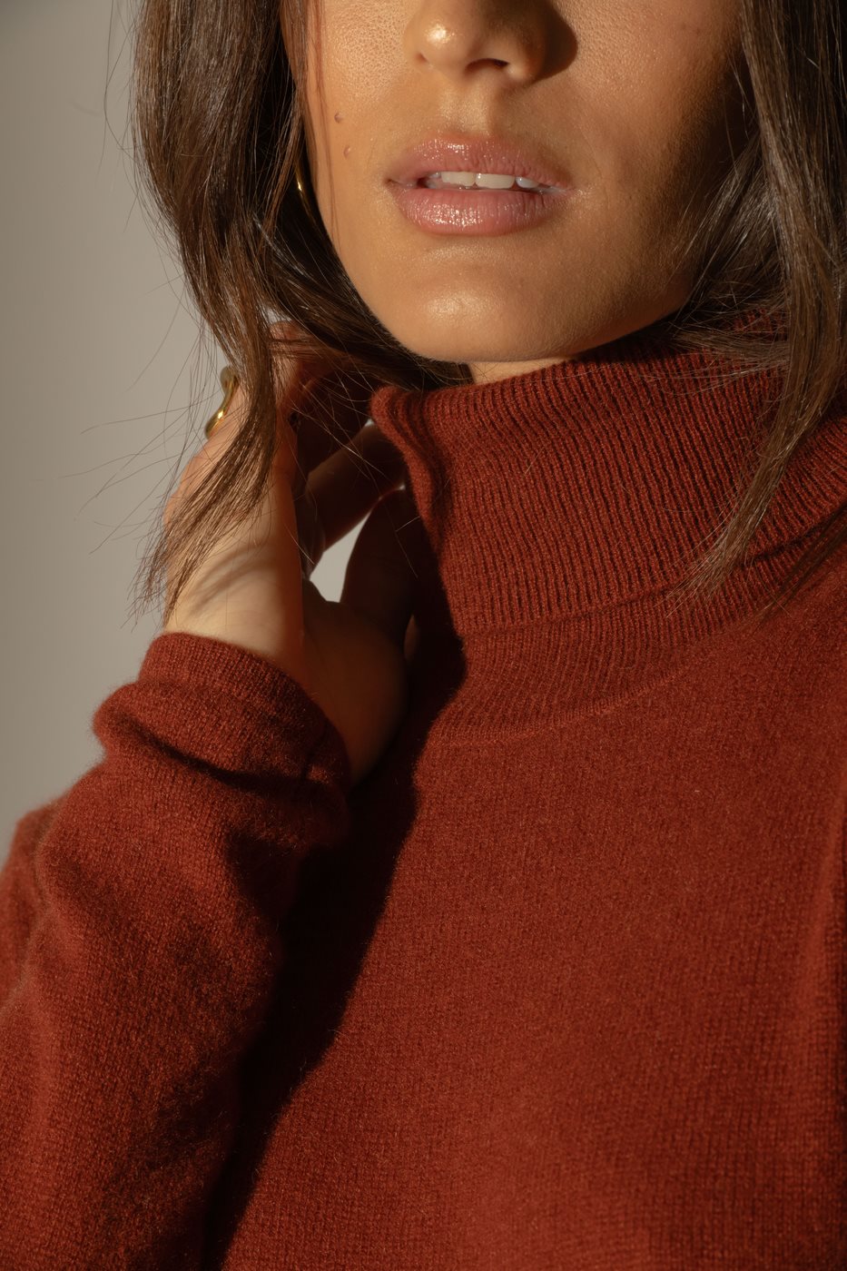 Pull Col Roulé - Ashley - Écureuil