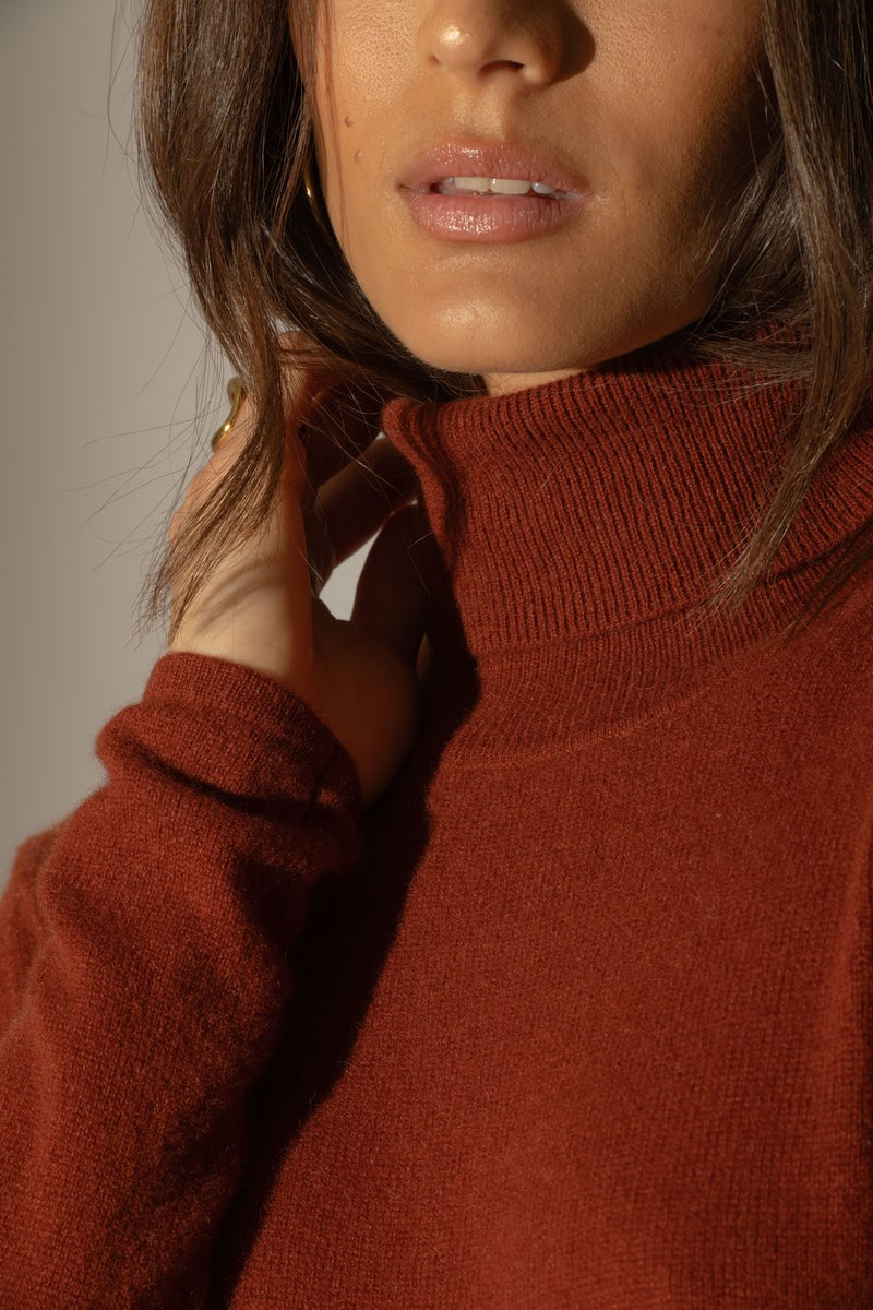 Suéter de cuello alto - Ashley - Ardilla