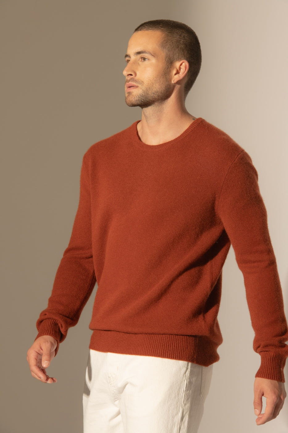 Pull Col Rond 4 Fils Eden - Écureuil
