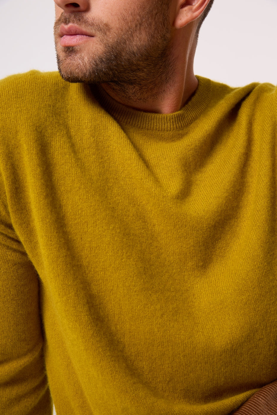 Pull Col Rond Blake - Doré