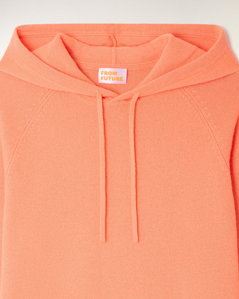 Pull Hoodie