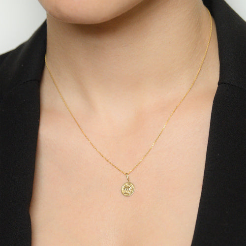 Colgante Astro Liso "Aries" - Oro Amarillo 375/1000