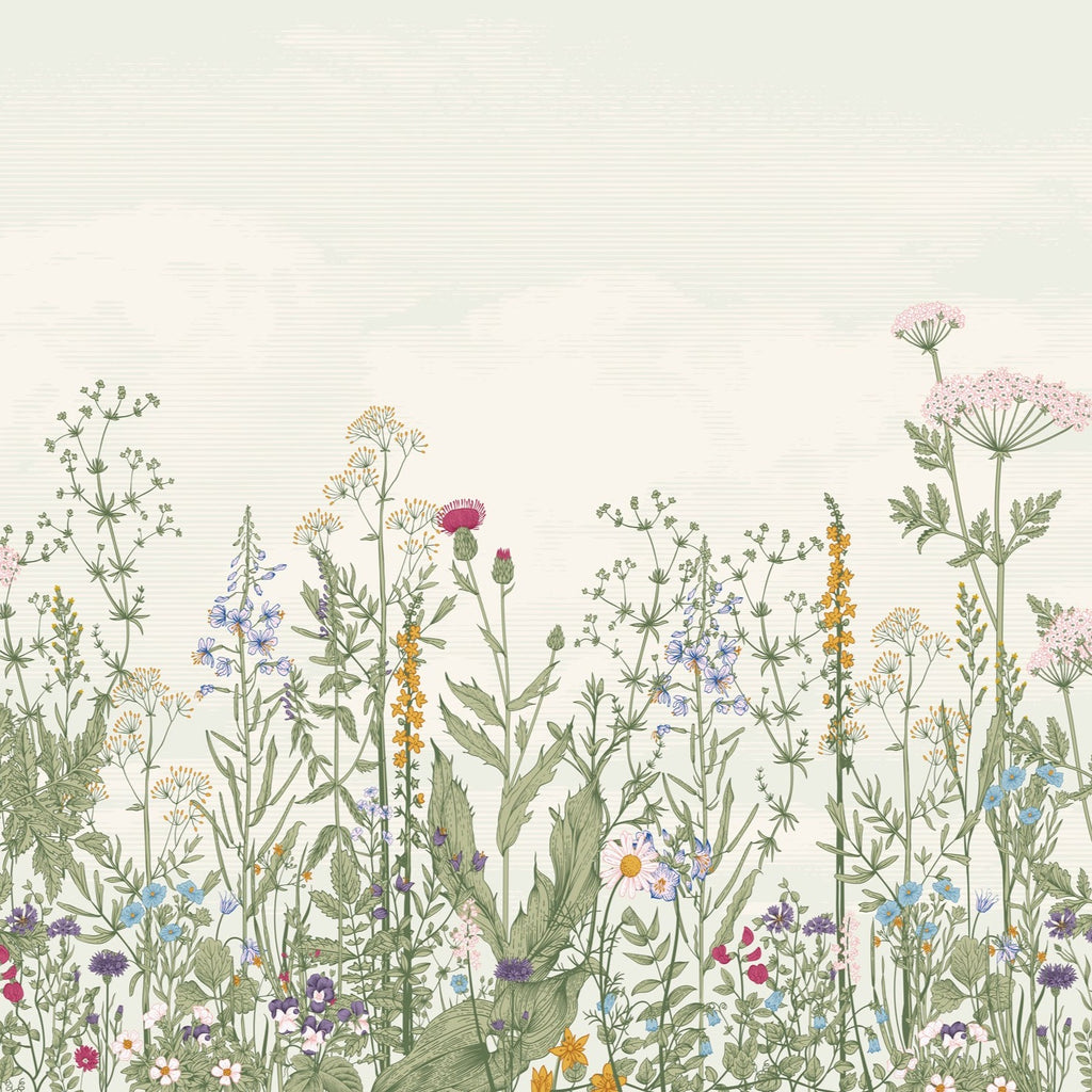 Lé Papiers De Ninon – Centaurée Panoramic Wallpaper - Multicoloured, illustration of colourful wild flowers on a plain, light background