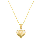 Colgante "Corazón de Oro" en oro amarillo 375/1000