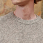 Pull Shaggy Dog Greige