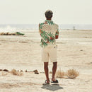 Chemise - White Asparagus - Homme