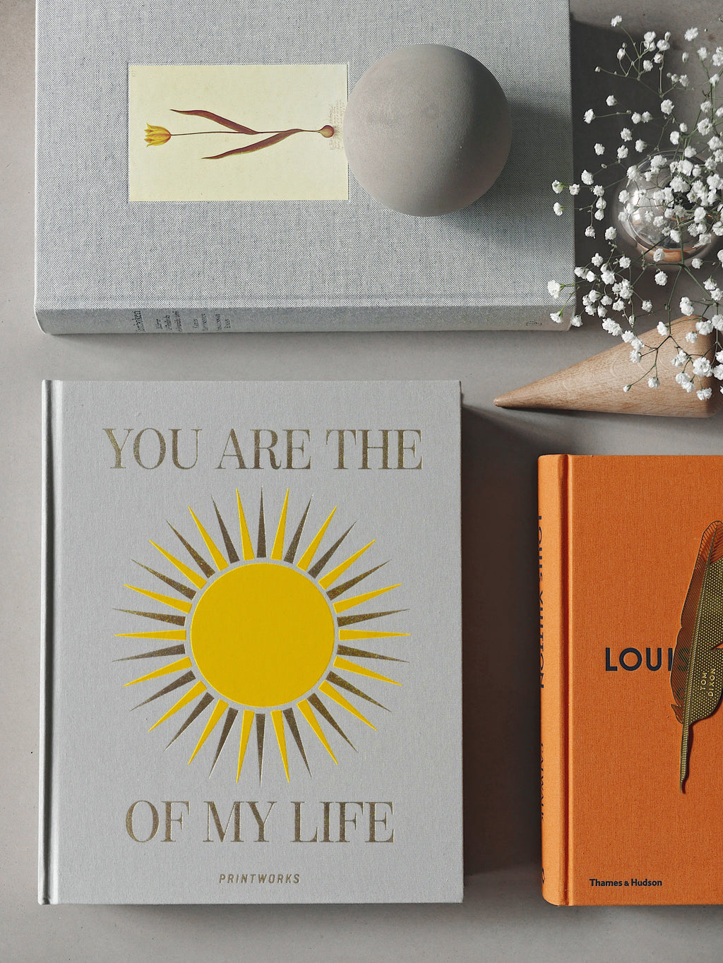 Álbum de Fotos - You Are The Sunshine