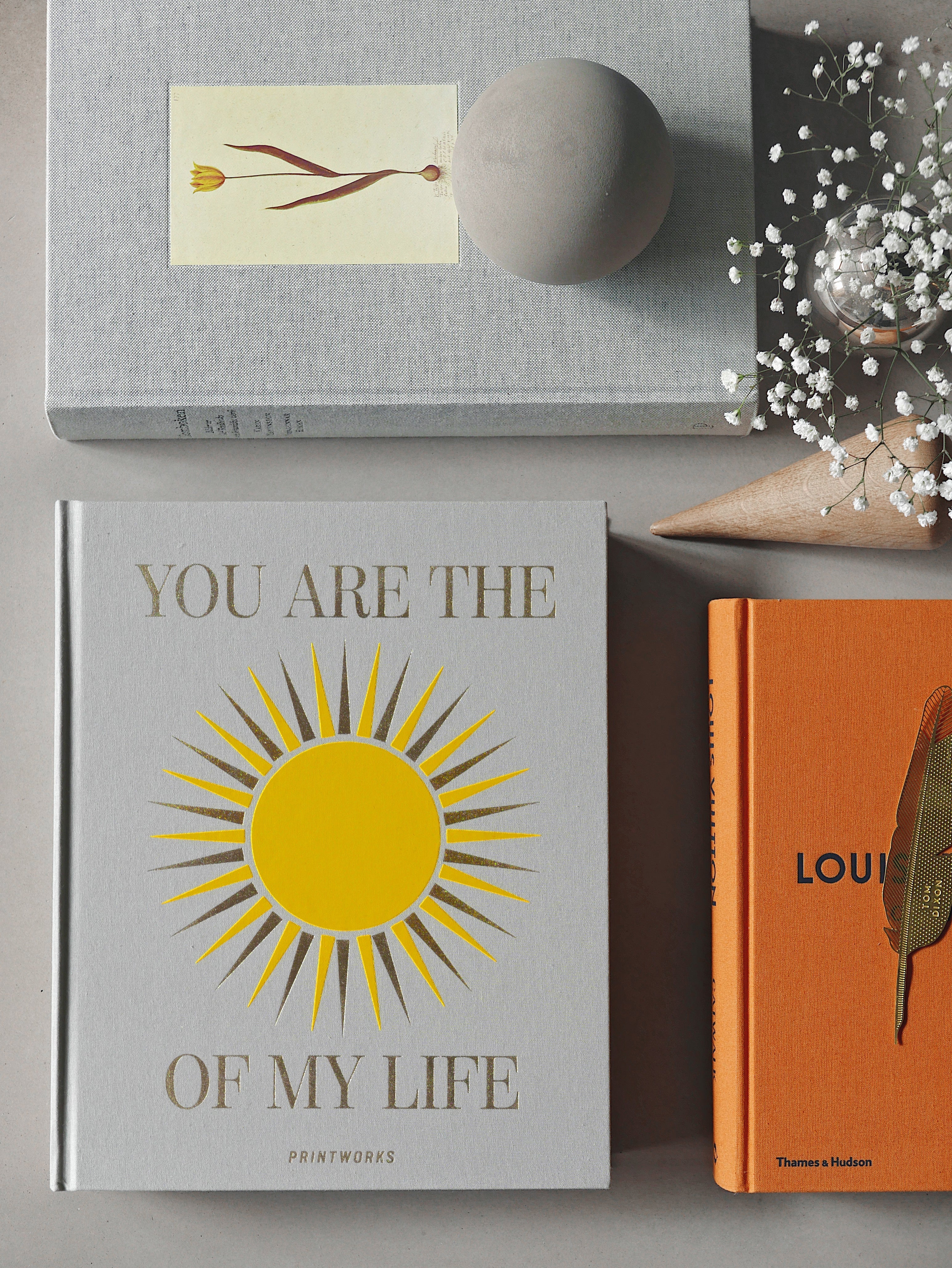 Álbum de Fotos - You Are The Sunshine