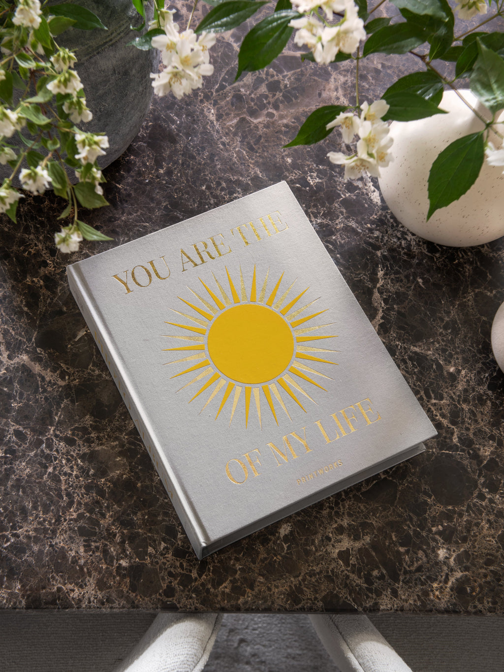 Álbum de Fotos - You Are The Sunshine