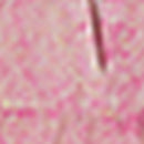 Blouse Calliopee - Rose