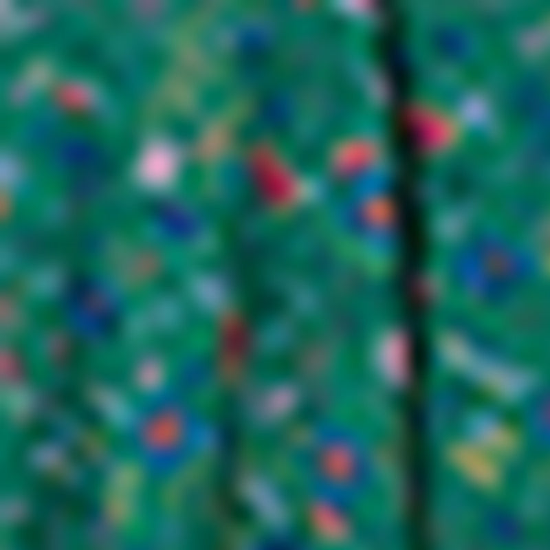 Robe Ricci - Vert