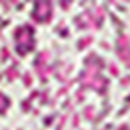 Robe Rosinda - Rose