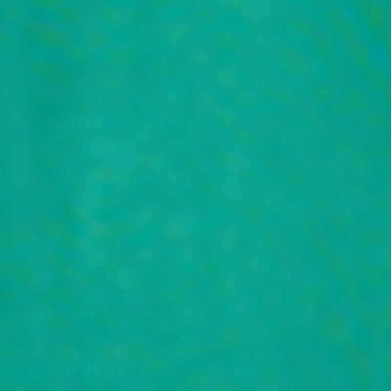 Veste Venizia - Vert