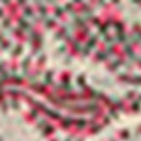 Foulard Phie - Nude