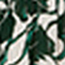 Robe Elanour - Vert
