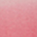 Pull Laetoria - Corail