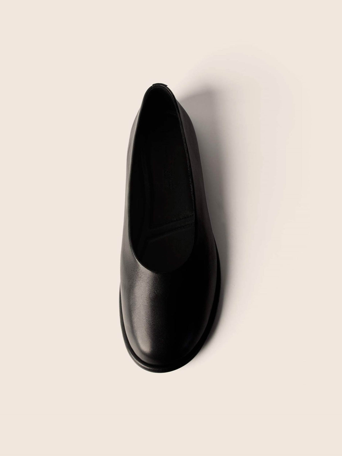 Zapatos Planos Crimson Daisy - Negro