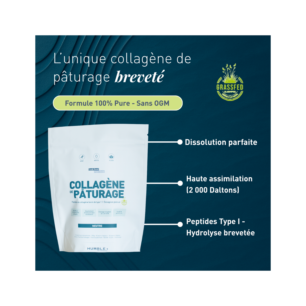 Collagene Pascolo Confort