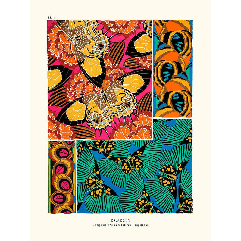 Sciences Naturelles - Papillons Séguy PL18