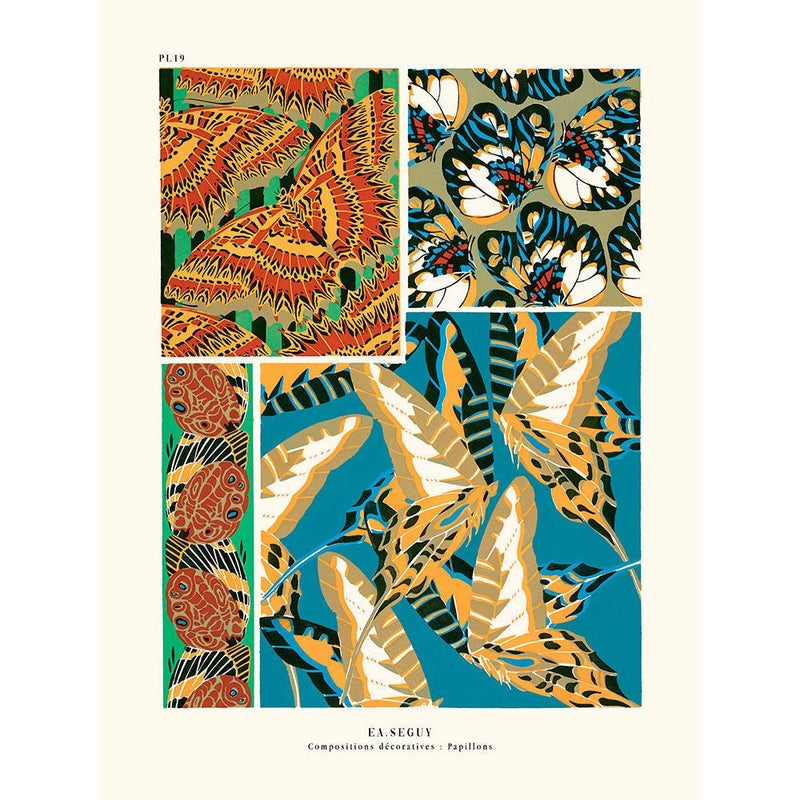 Sciences Naturelles - Papillons Séguy PL19