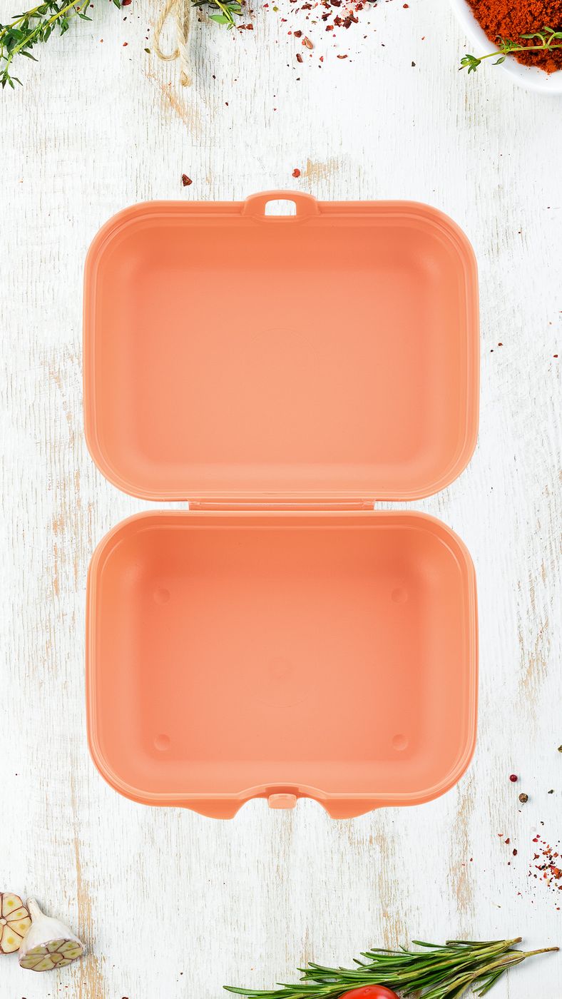 Éco Boîte À Bêtises Petite