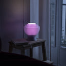 Peony Lamp - Lavender