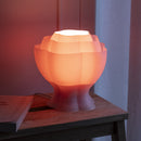 Peony Lamp - Pink
