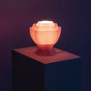 Peony Lamp - Pink