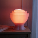 Peony Lamp - Pink