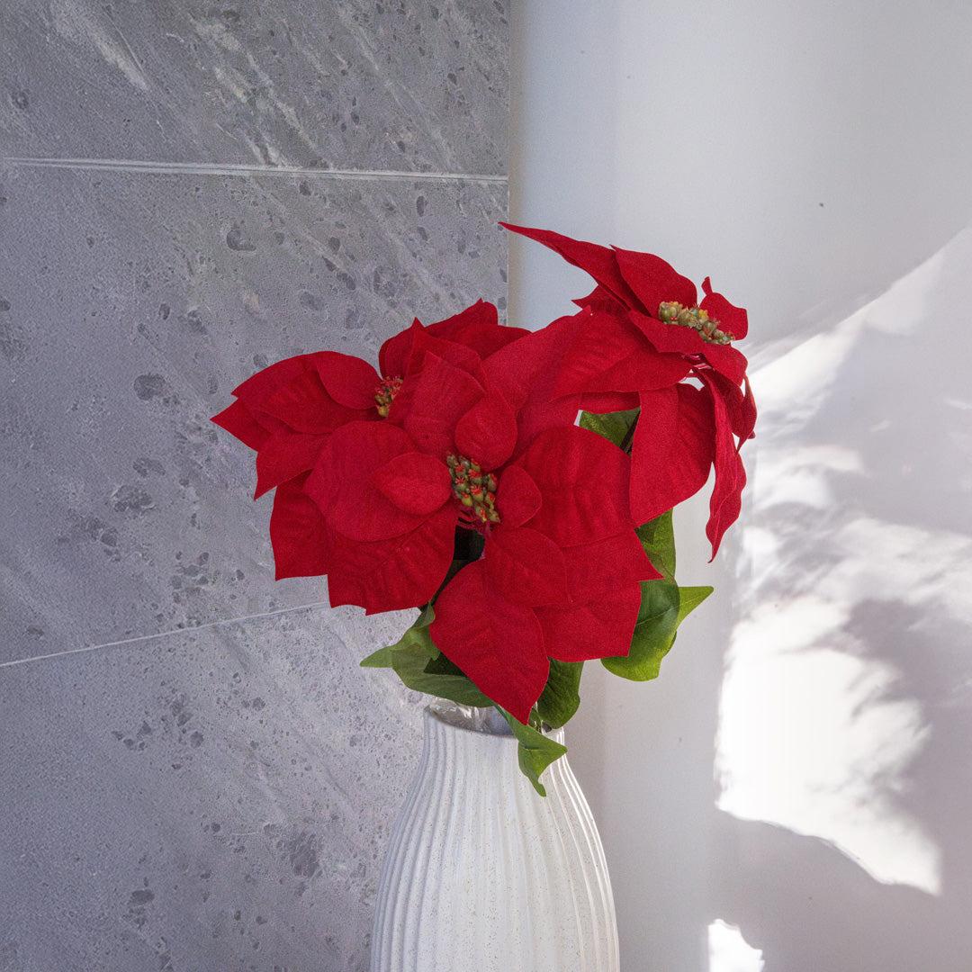Tige De Poinsettia