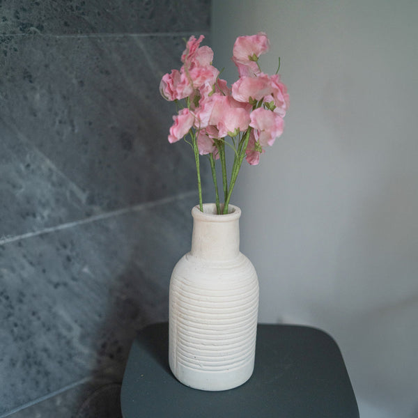 Luktärt I Papper Ljusrosa