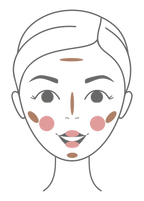 Esquema facial de rubor bronceador Pomponne Fantastick