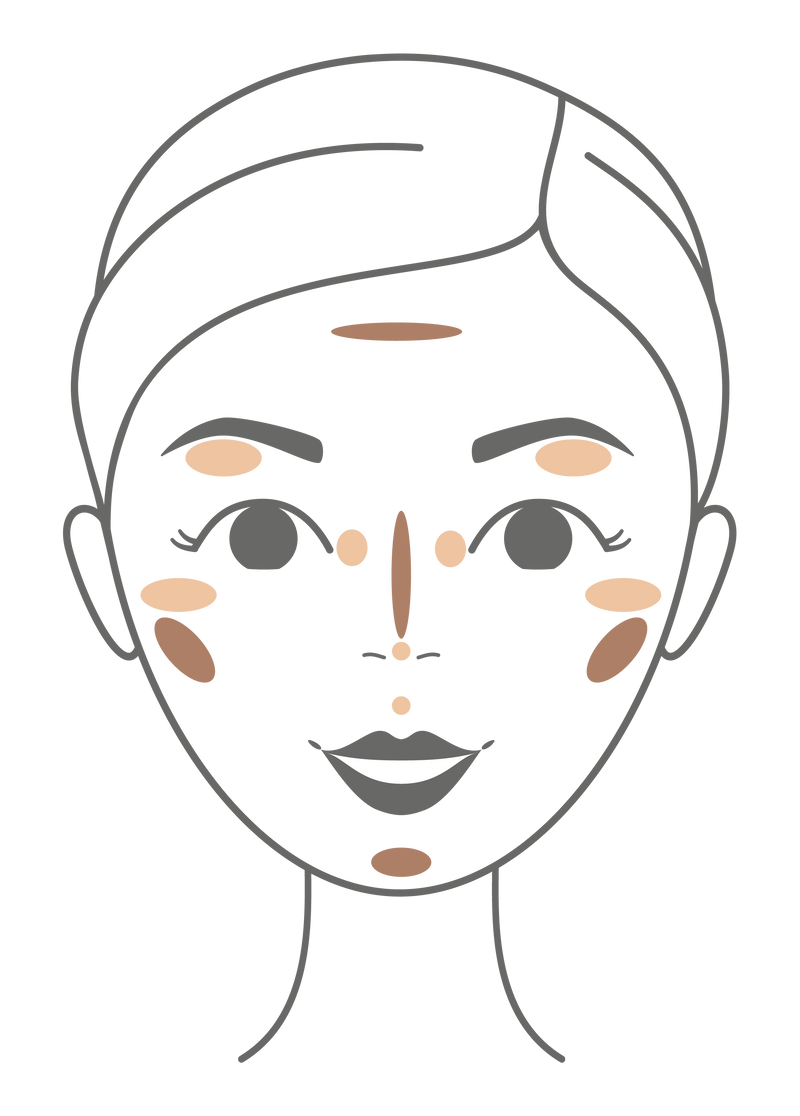 Pomponne Fantastick highlighter bronzer visage schema