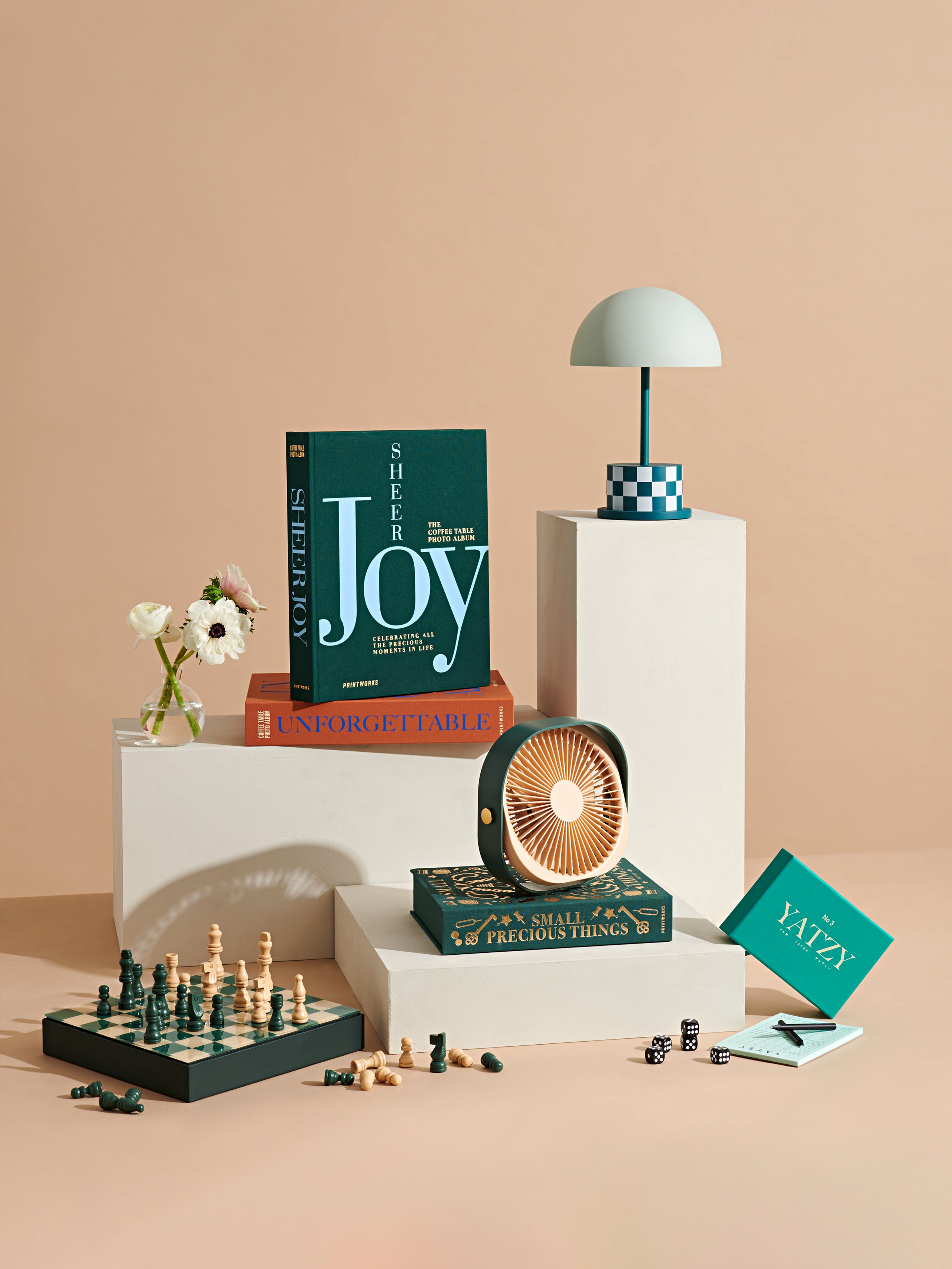 Álbum de Fotos - Sheer Joy