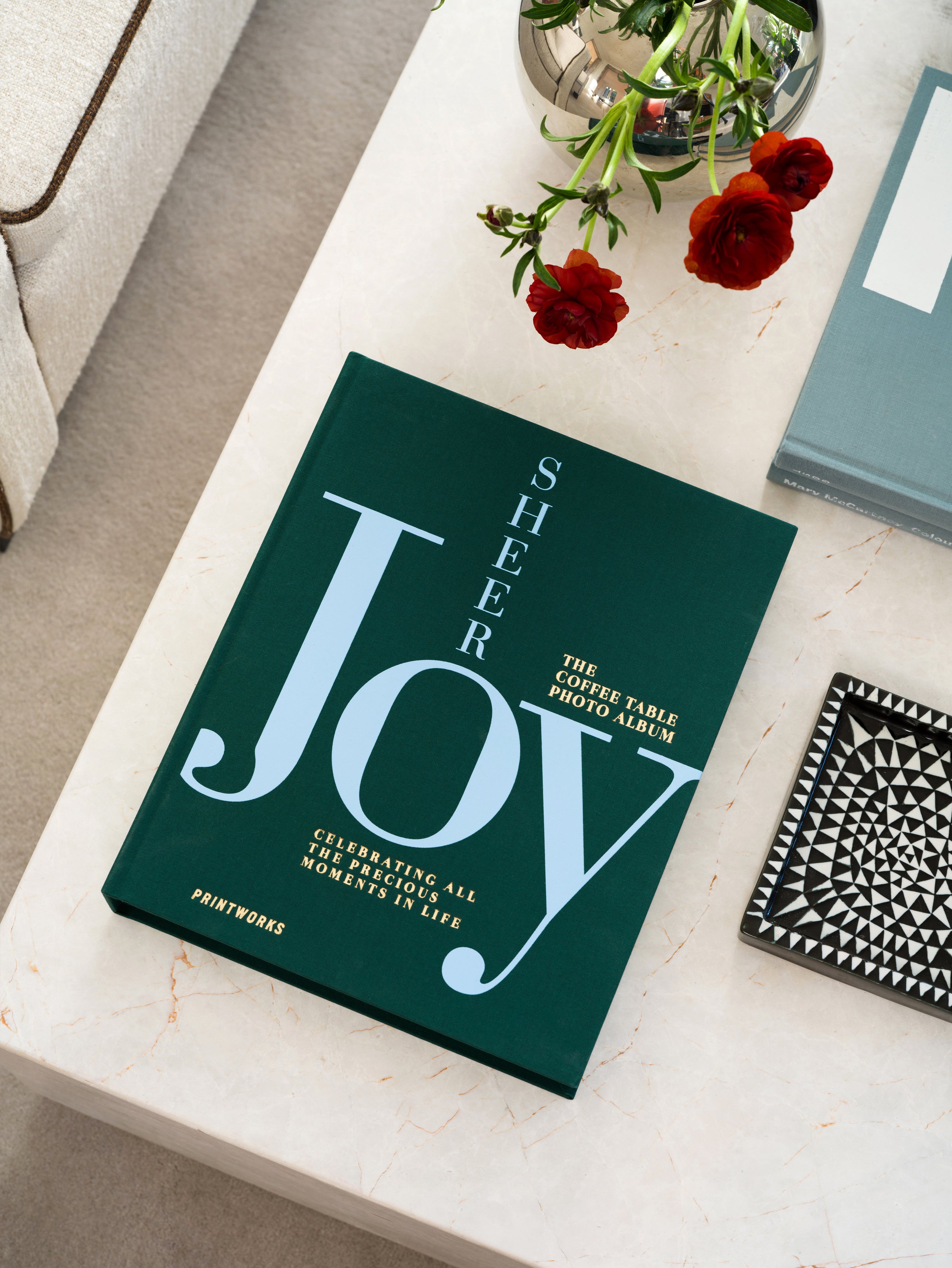 Álbum de Fotos - Sheer Joy