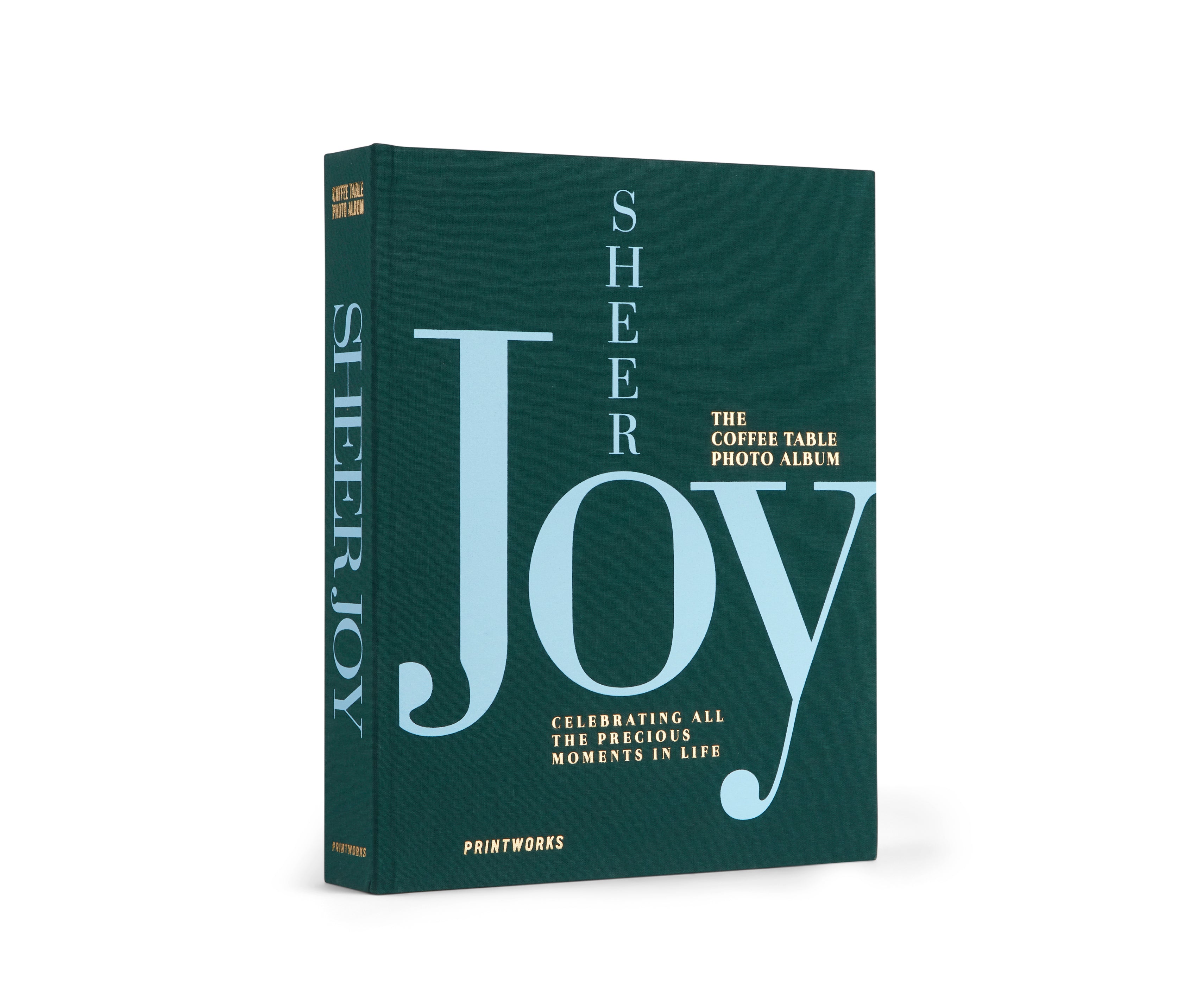 Álbum de Fotos - Sheer Joy
