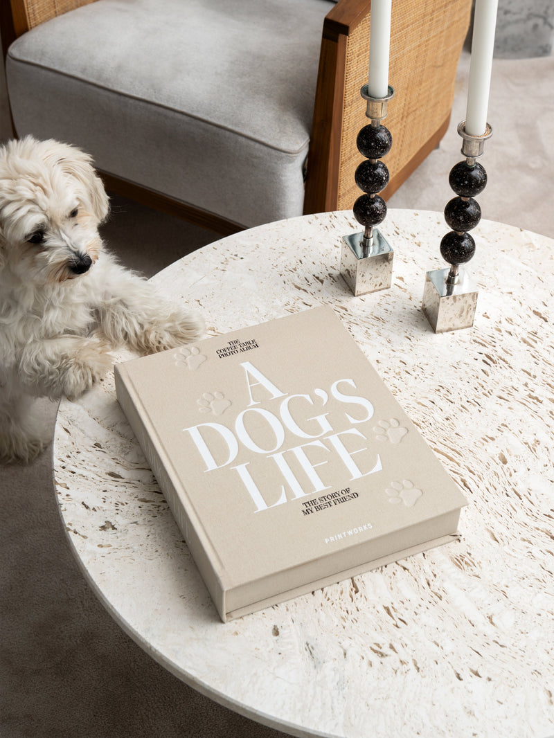 Álbum de fotos canino - La vida de un perro
